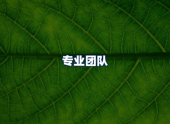 专业团队
